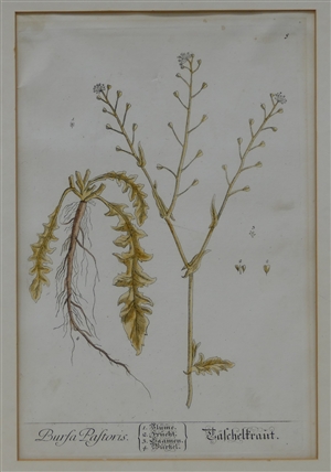 Kley, Heinrich