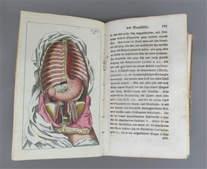 Buch, 1806